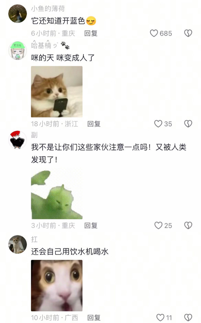 猫咪居然学会了用饮水机喝水​​​​