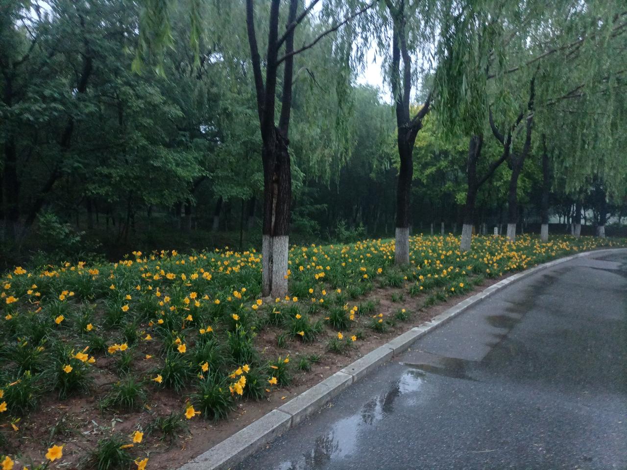 女人偷情从谁开始————﹣治愈诗词女人偷情呢，一般是从5个熟人开始的，你可