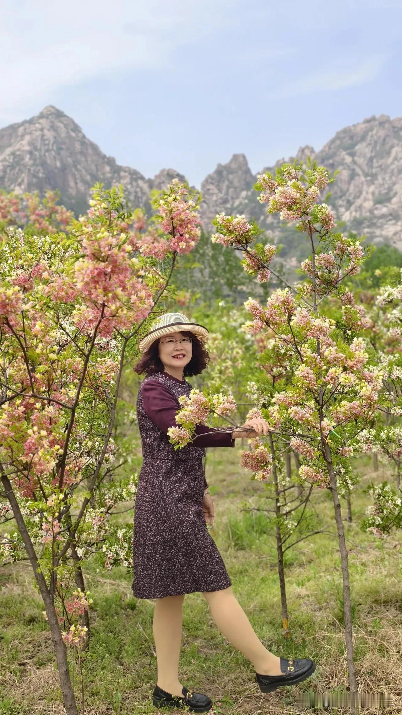 五一节假日期间，给大家推荐一个秦皇岛的赏花好去处——抚宁樊各庄北村。此地距离市区