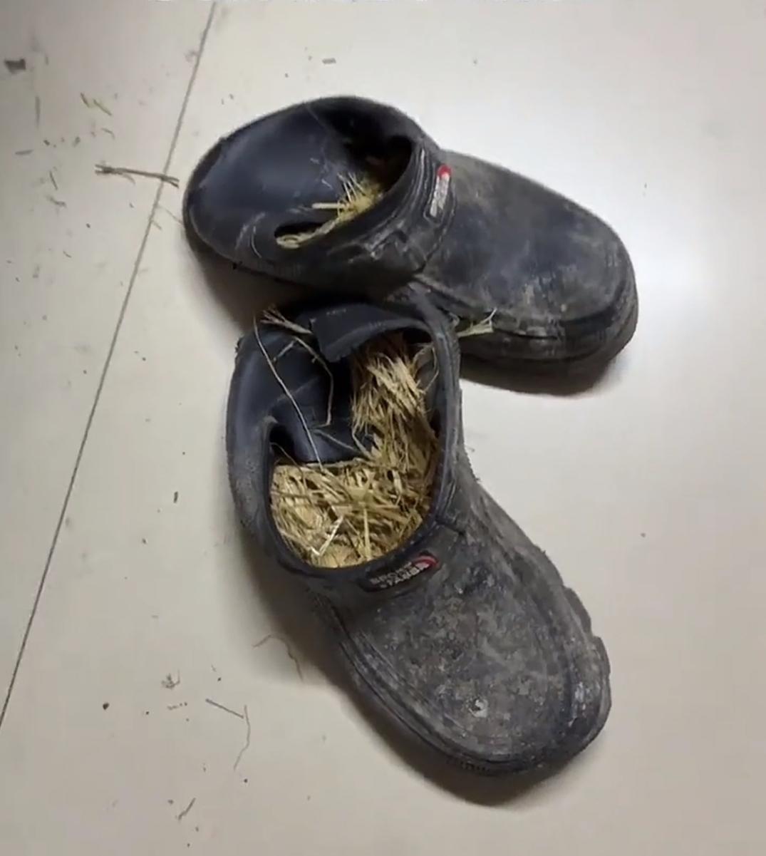 看到这双塞满稻草的鞋出现在医院，莫名心痛！安徽一位大爷带着脑梗老伴到医院急救