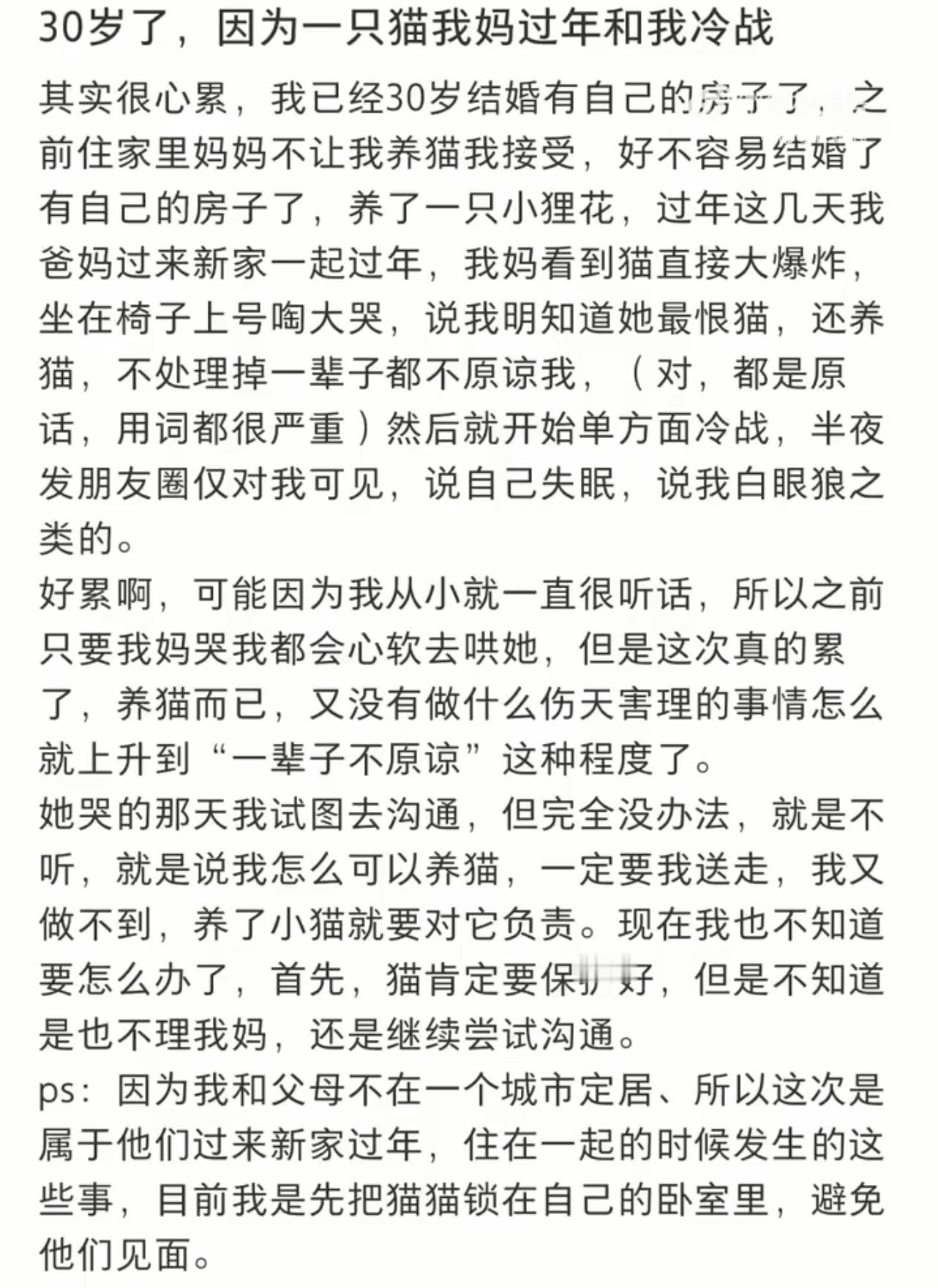 30岁因为一只猫我妈过年和我冷战