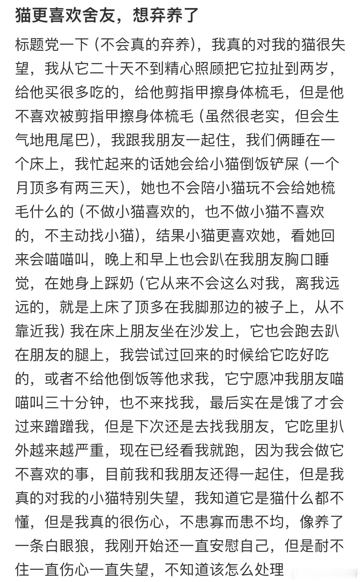 我的猫更喜欢舍友怎么办❓​​​