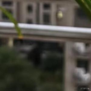 建兰/春兰（国兰）1.栽培方式：腐叶土+松树皮+植金石+少量陶粒，微酸疏松排水