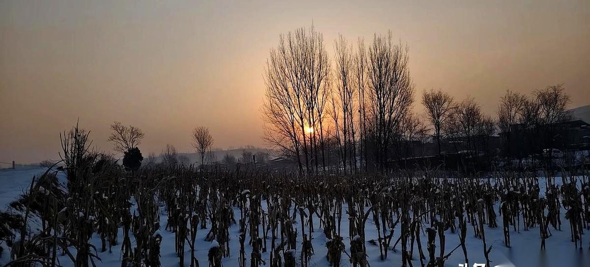 堂哥家的儿子走了好几年，留下俩娃。后来，两个娃从城里妈那儿“逃”回了乡下爷爷奶奶