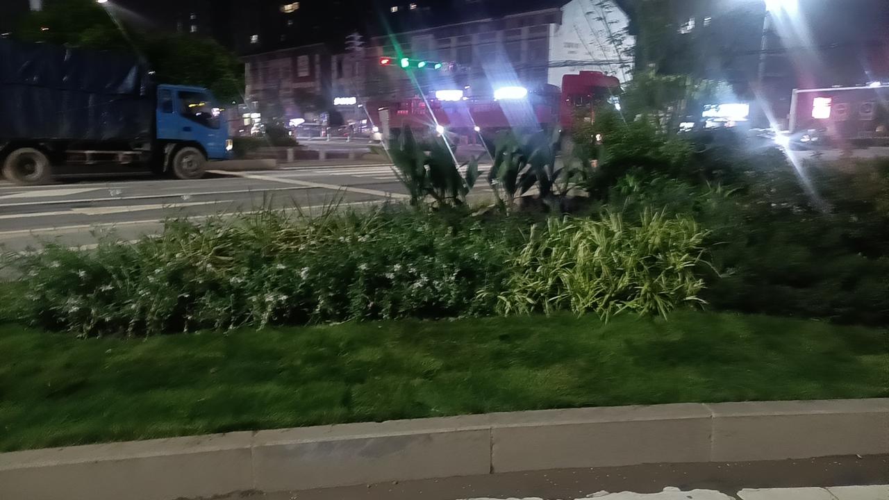 很多人想给阳台添点绿意，却总怕养护麻烦、花草难存活。其实阳台选对植物，不用精心打