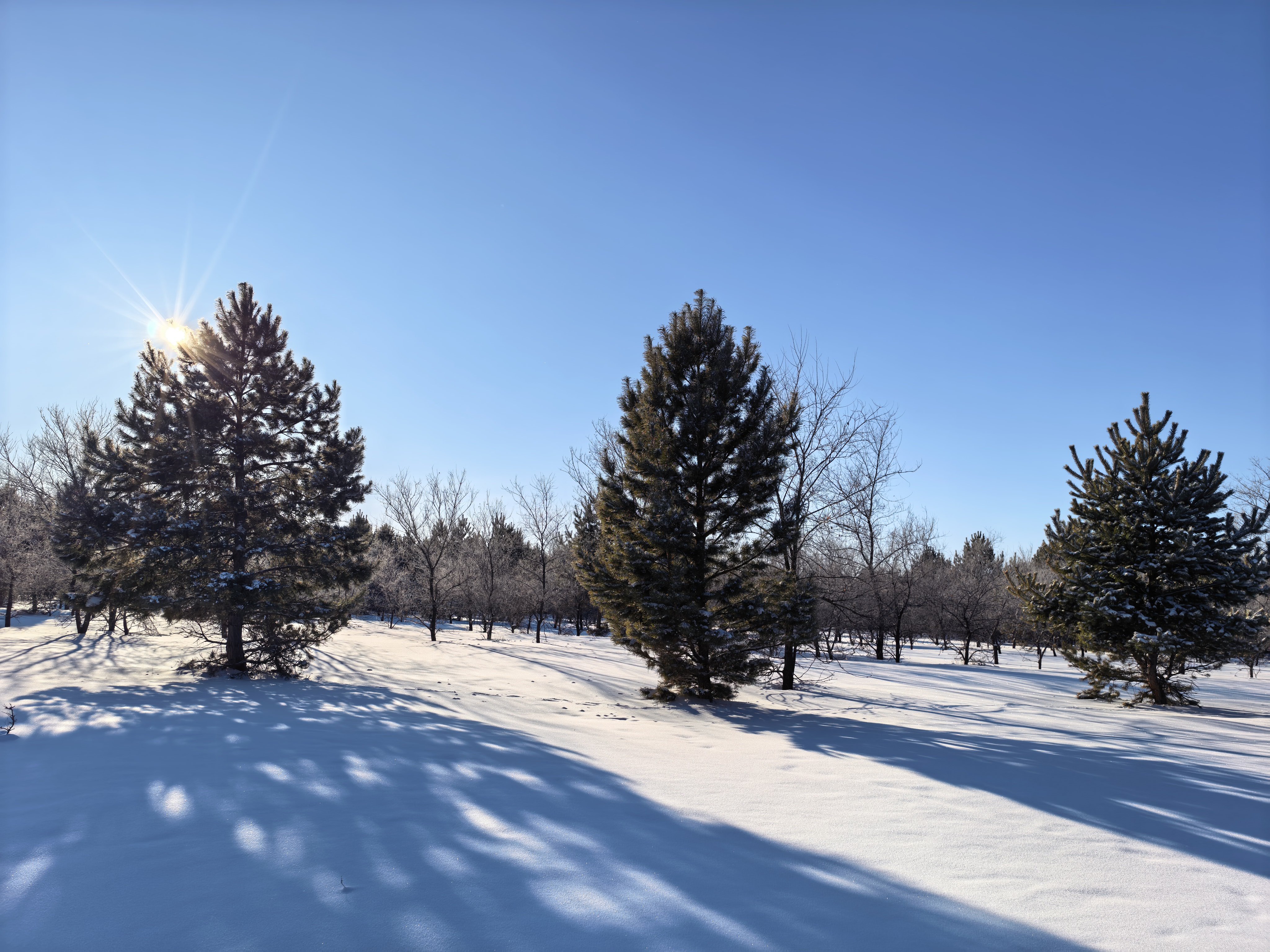 第一次来呼伦贝尔，零下30℃果然有点东西