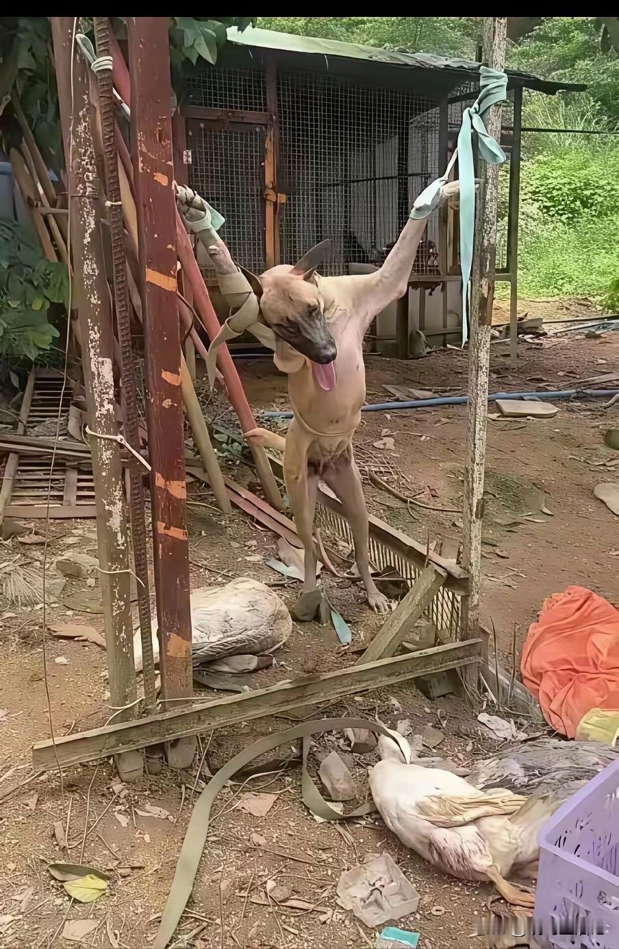 好好反省吧[呲牙笑]