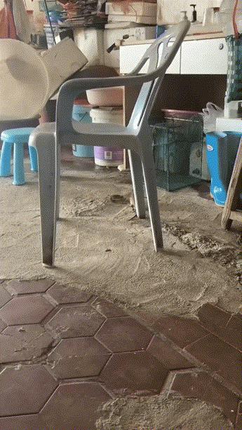 厦门琼头，老鼠大战螃蟹！