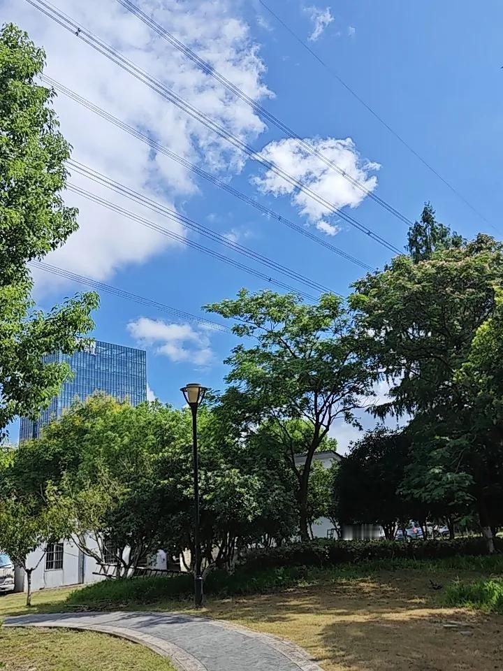 50岁后，身上这3处不堵，比存款百万更金贵！人老了最怕啥？不是没钱，是半夜胸