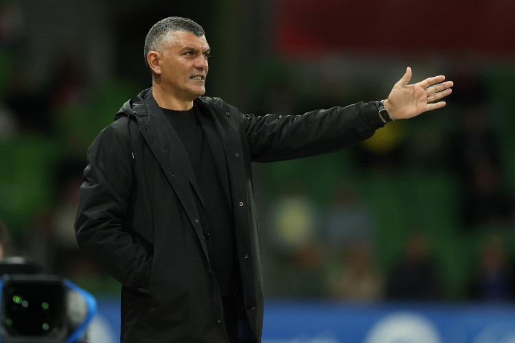 阿洛伊西兄弟齐聚中超执教? 媒体人: 今年真是澳流来袭