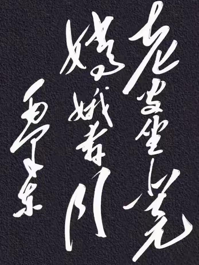 书法字迹潇洒，充满艺术感。谁认识这几个字？都出来听听[作揖][玫瑰]什么字体的书