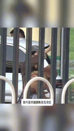 杨紫跟家人聚餐庆祝获奖谁被杨紫这份温柔治愈到！获奖回京先抱着小狗和粉丝亲切互动