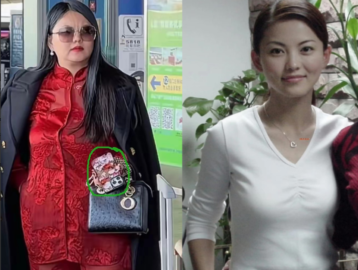 研究了大半天，终于搞明白了，李湘浑身上下最便宜的东西竟然是手机壳，估计网