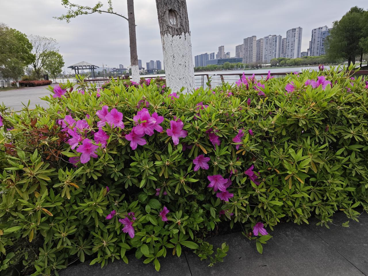 50岁以后，别瞎养了！养心，才是真续命！身体没毛病？别大意——心一乱，全身跟着