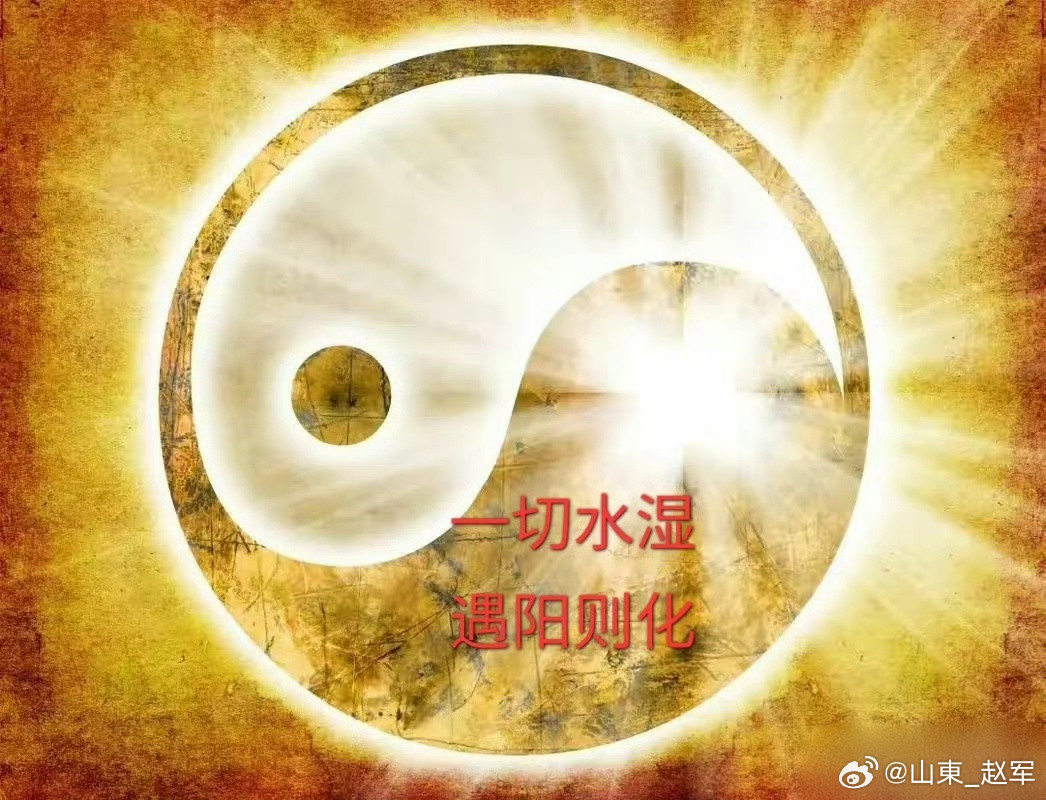 儿童养阳护肾让孩子阳气足少生病·长得壮·脾胃好肾阳为一身阳气之根阳足则