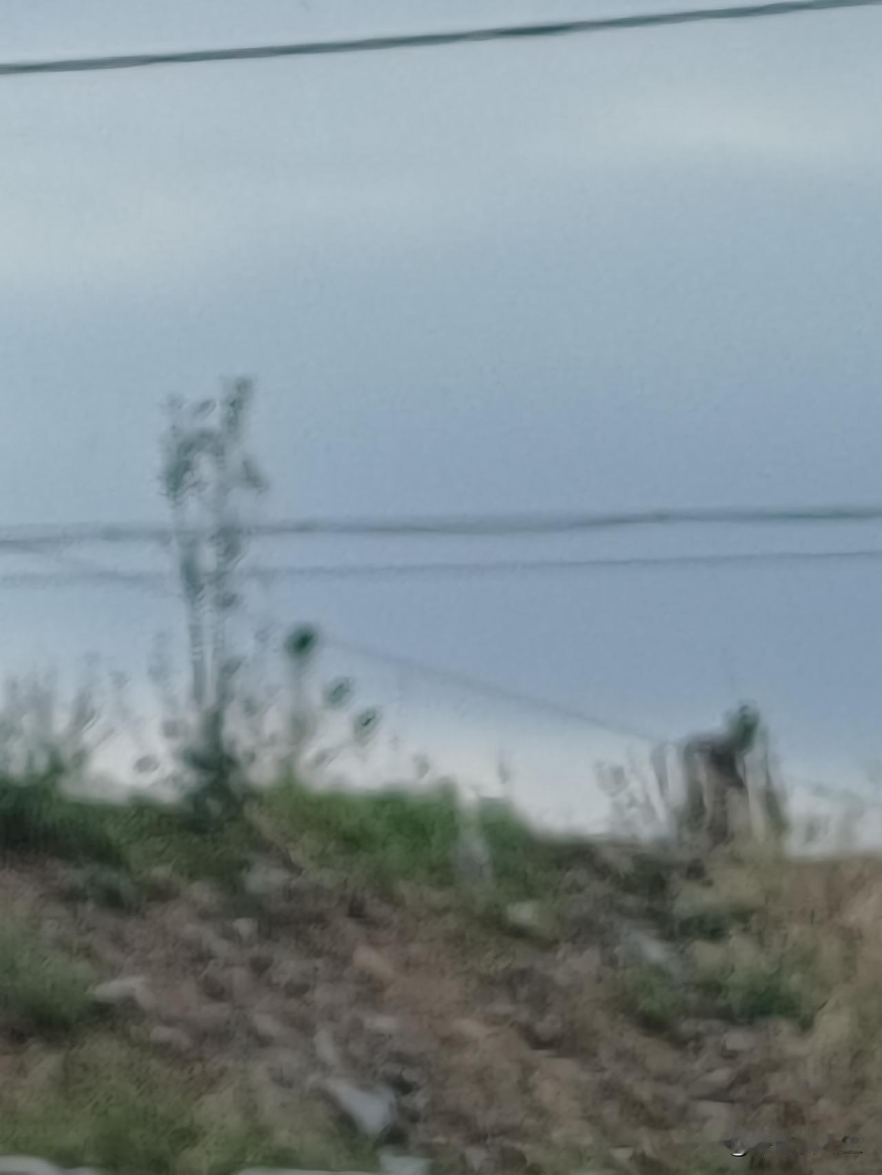 今天又是阴沉沉的一天，天空蒙着一层淡淡的灰蓝色，看不到太阳。近处的坡地上杂草肆意