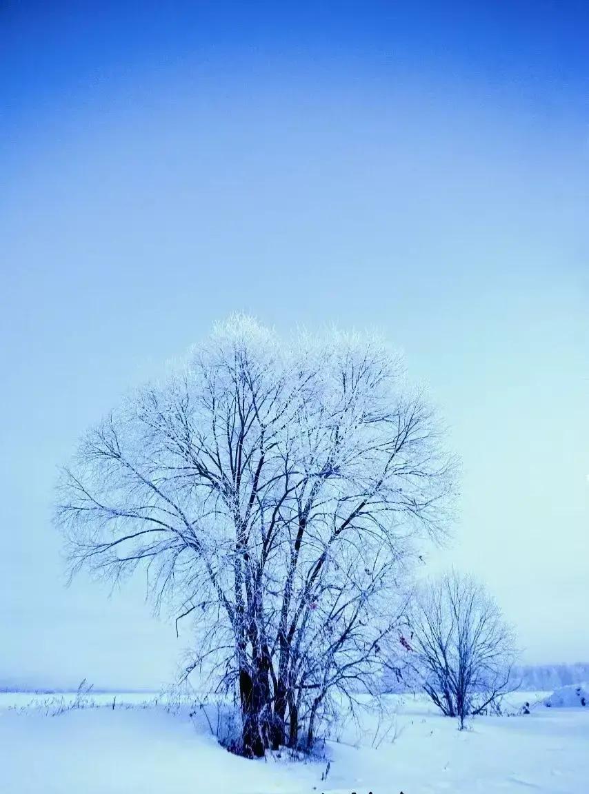 三位老同事没结婚没孩子，几十年挤在一套老公房里互相照应。我上周回老单位办事，