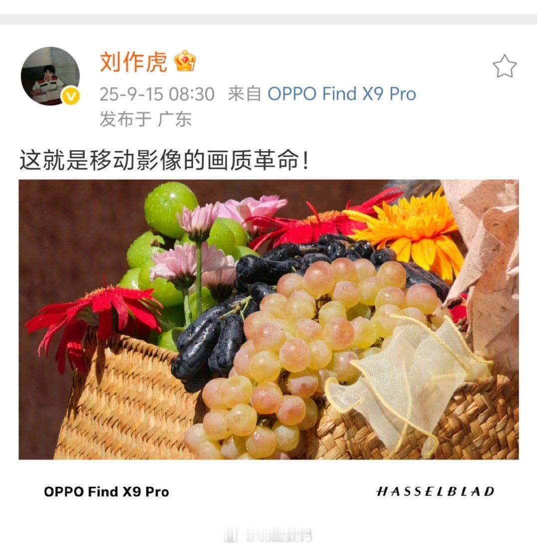刘作虎这么快就晒Findx9Pro的样张了啊？[捂脸哭]​​​
