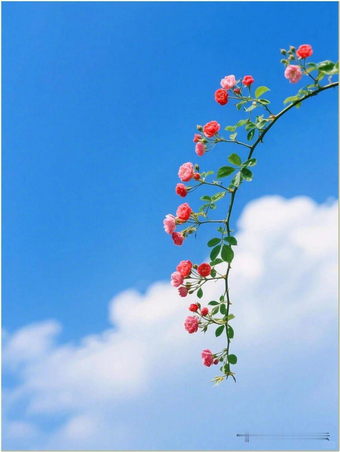 天蝎座有个神技能，就是在一瞬间不喜欢曾经超级喜欢的人天蝎的占有欲从来不是争取