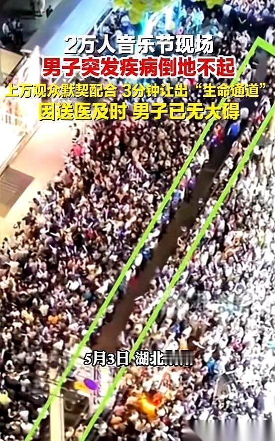 湖北荆州，两万人音乐节。舞台上的灯光扫过一片人海，低音炮震得脚下草地都在发麻。