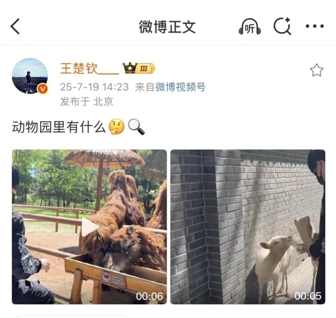 童心未泯的楚钦今天更新了一条动态，是自己在动物园喂骆驼，喂小羊的视频！其实感觉