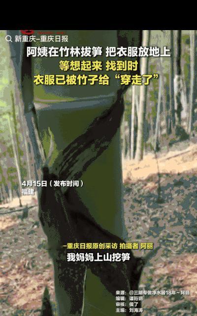 一阿姨在竹林挖笋，挖了一会有点热了就把外套脱了，随手放在了地上，回家时就忘了，没