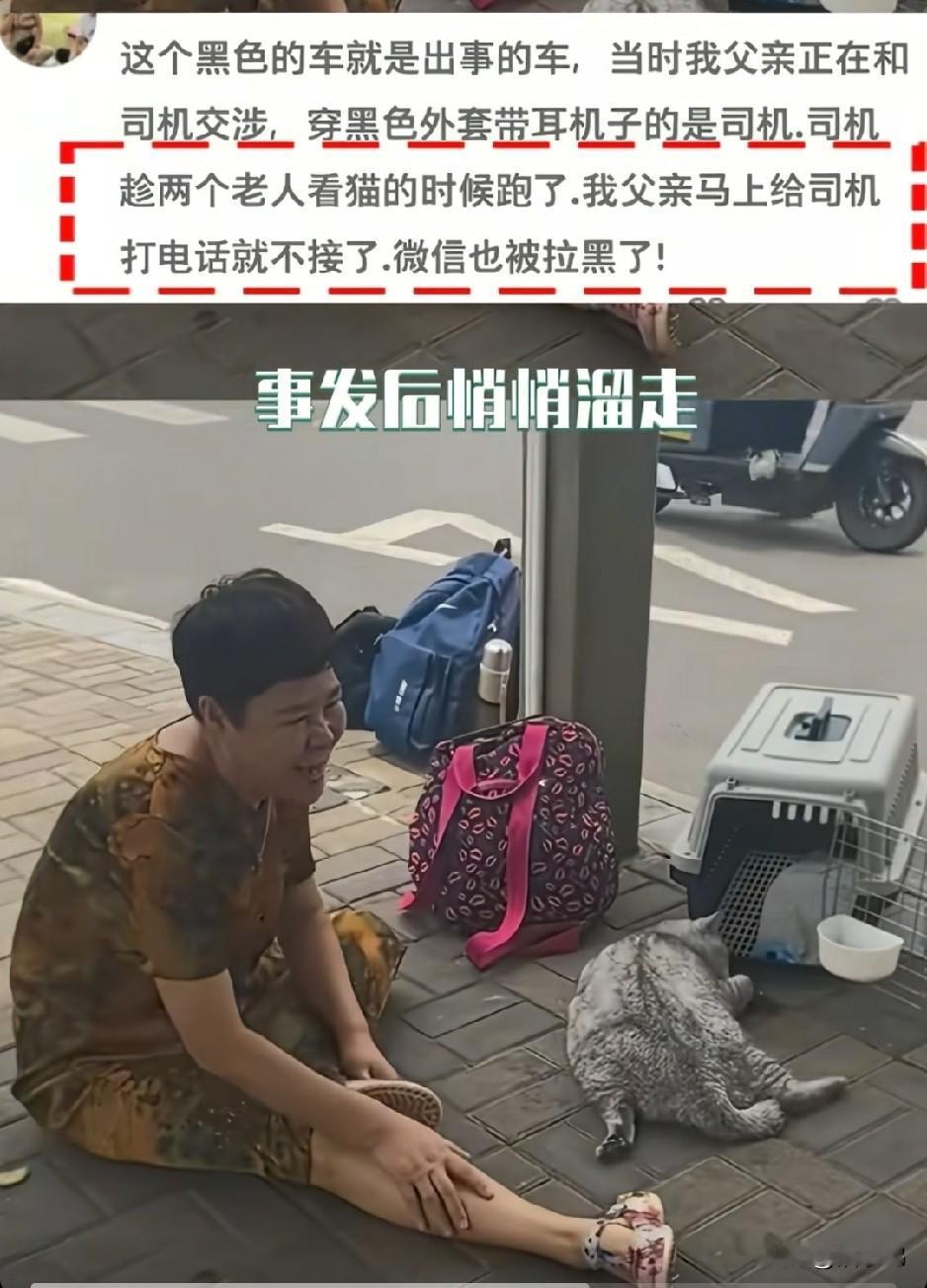 “我不要钱，还我猫！”给猫打了包车，为啥要扔后备箱啊！你看这阿姨，隔着屏幕我都