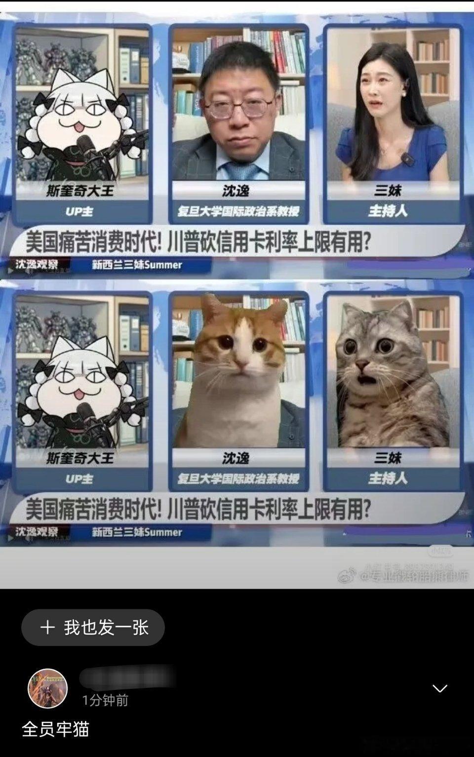 沈逸牢A沈逸和牢a的直播太有意思了。最后全员牢猫了，又一张表情包诞生。