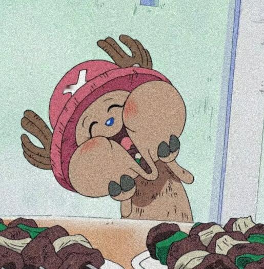 海贼王海贼王五~蚂~蚁~