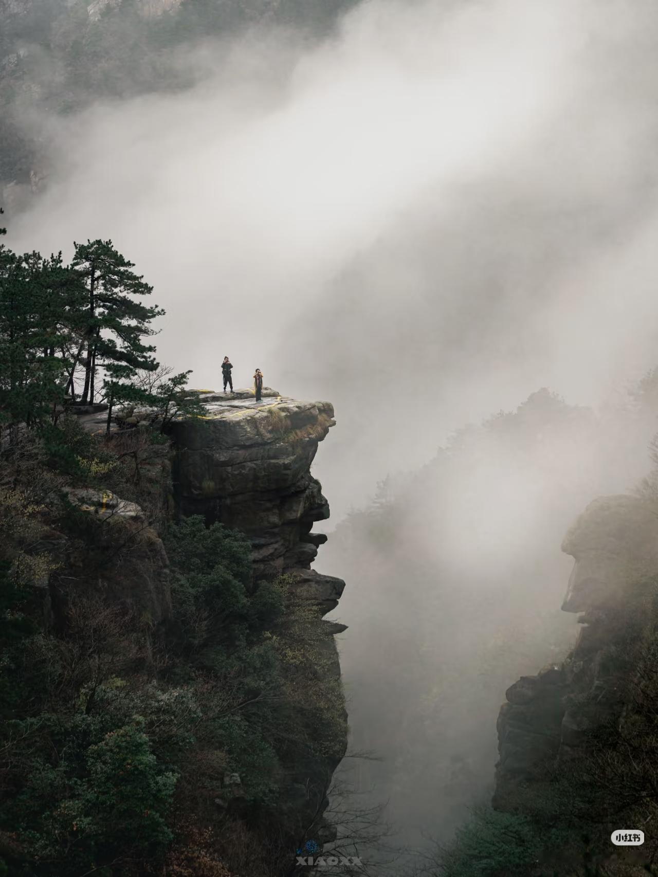 “千年浔阳郡百年庐山风”夏季来庐山，就是奔着那22℃的清凉去的吧！这里为你