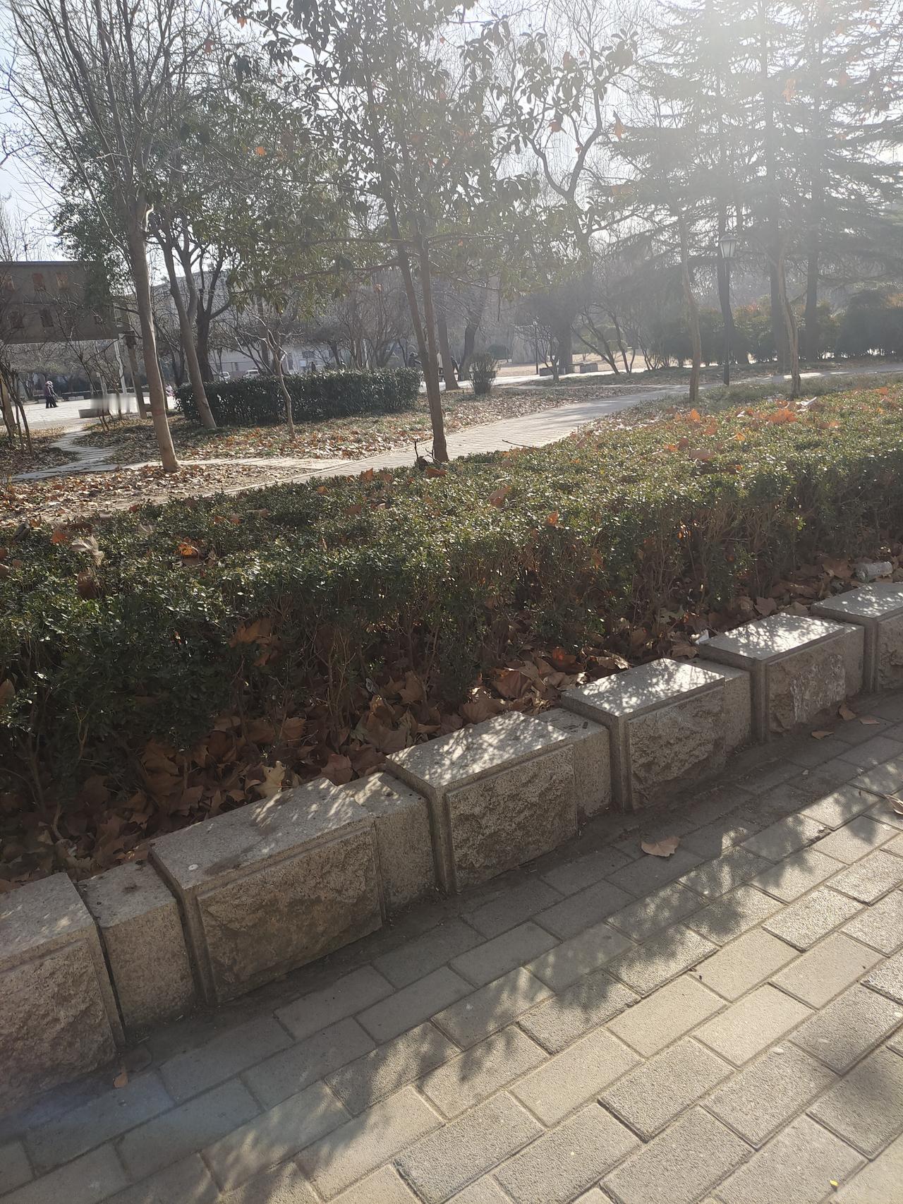 2026年，房地产市场真的要变天了2026年，房地产政策将迎来大幅调整。一线城