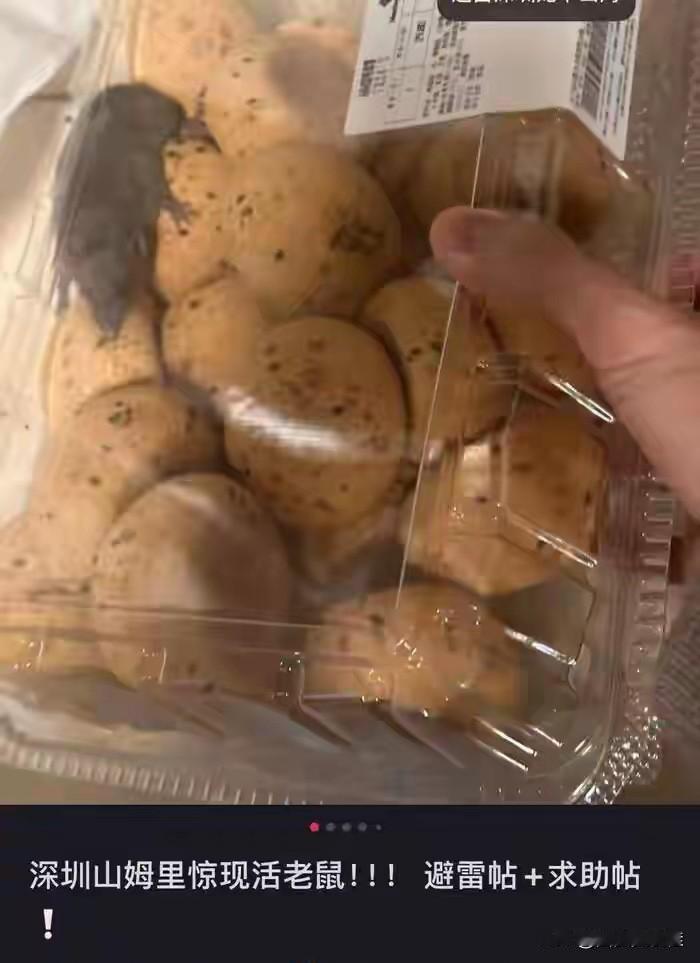 妈耶，山姆的麻薯估计太好吃了，老鼠🐭都钻进来品尝呢[大笑][大笑][大笑]