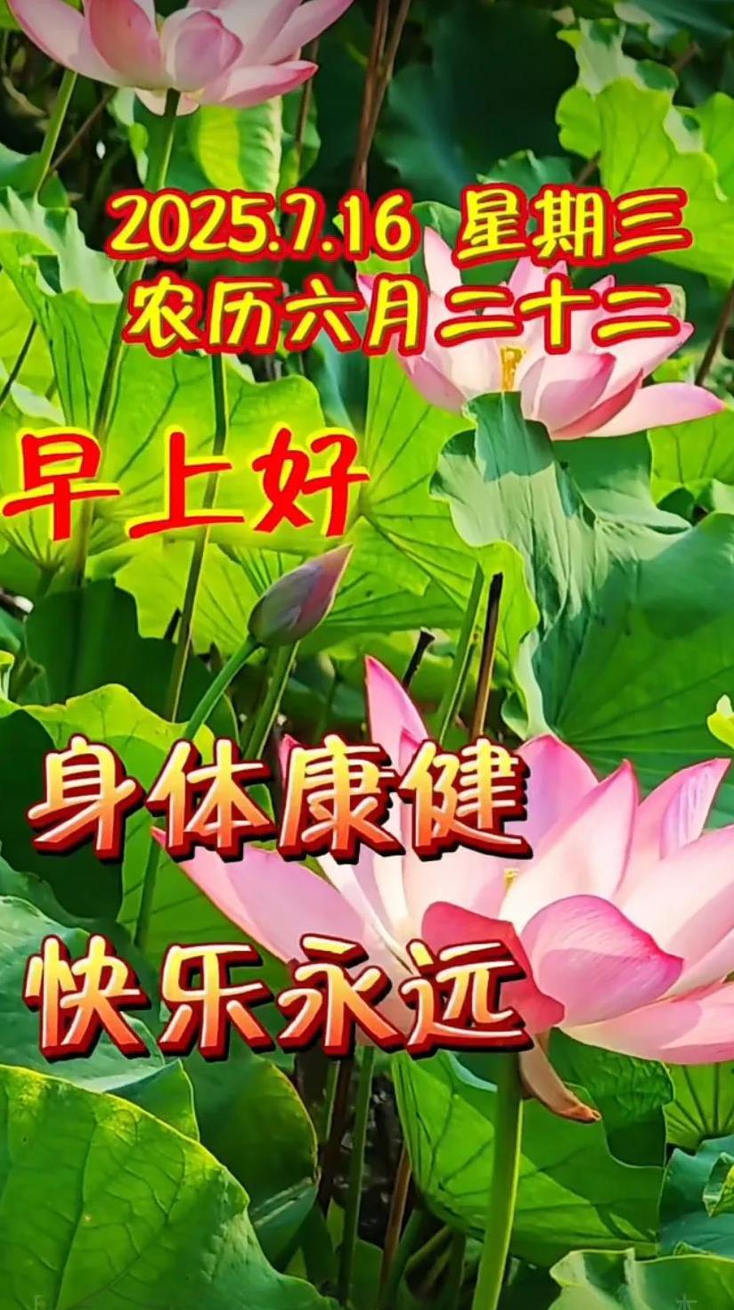 快乐星期三！#淡定的星期三##省钱星期三#快乐过好自己的生活