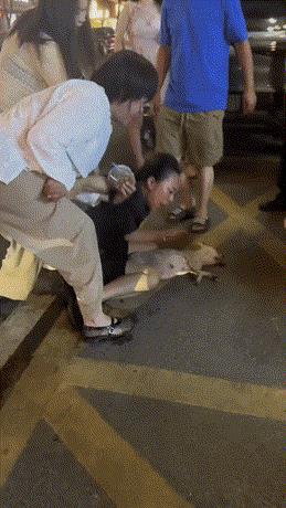 千万不要伤心过度了，对任何宠物的爰都不要超出了理性范围！也许，这只没牵绳的宠物狗