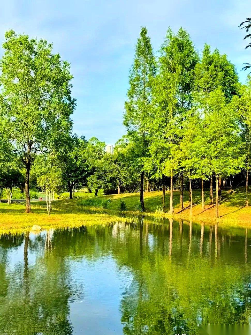 我姐“人间蒸发”了。不是人丢了，是那个曾经周末必打卡商场、旅游必发九宫格的社交