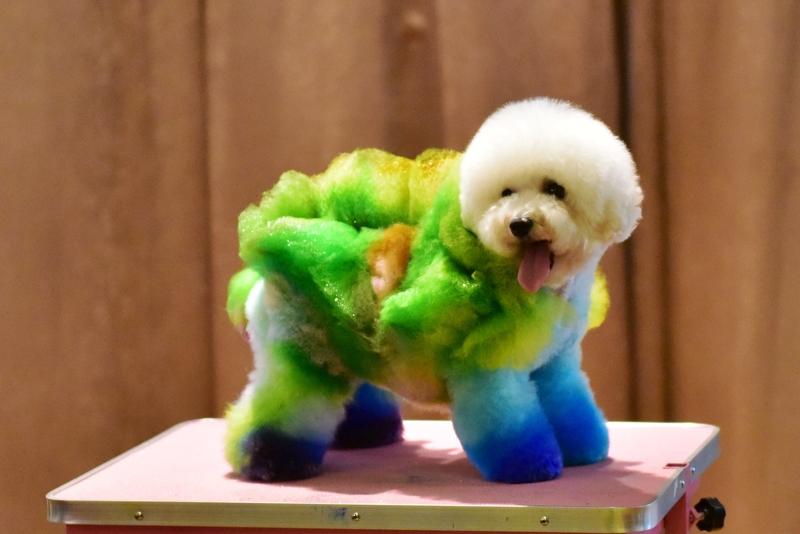 美容师都能闯下多大祸我一朋友给顾客做臀疗，顾客想放屁，但是不好意思，一直夹着屁