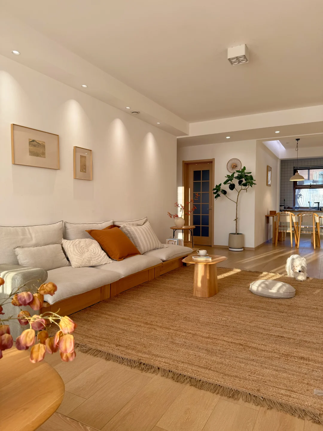 普通的小家，在普通的日子里发着光～