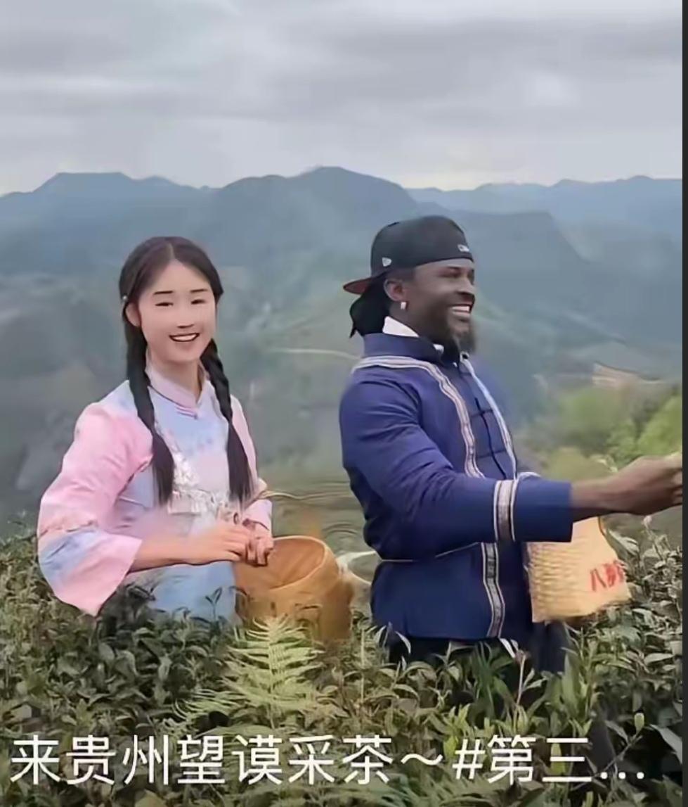 据说这是贵州的文旅广告，女孩和男子一起采茶。看见广告后我马上检查一下自己的茶叶