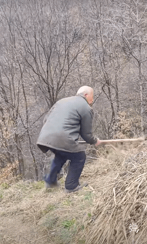 老大爺休息一会吧！不要打它了，它是個好东西！[大笑]