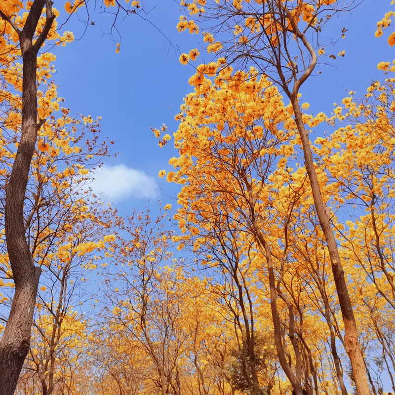 成年人必学：值得收藏的鬼谷子识人箴言，看透人心本质识人辨性：...