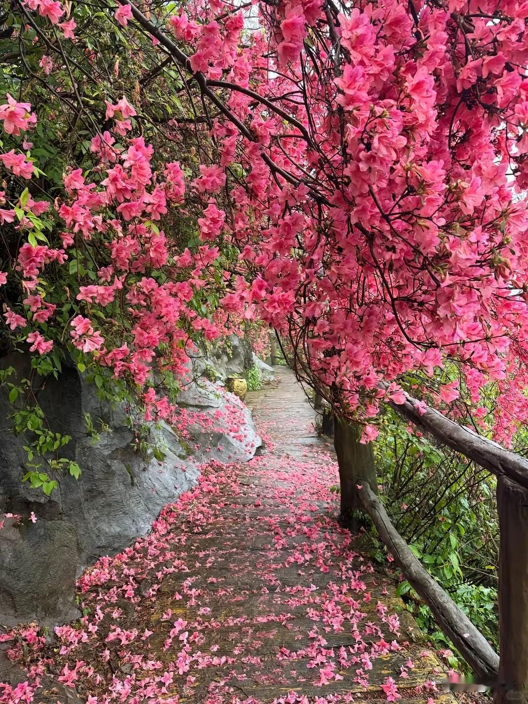 坚持每天走路的绝佳好处一、走路是低成本、高回报的全身修复1. 稳定代