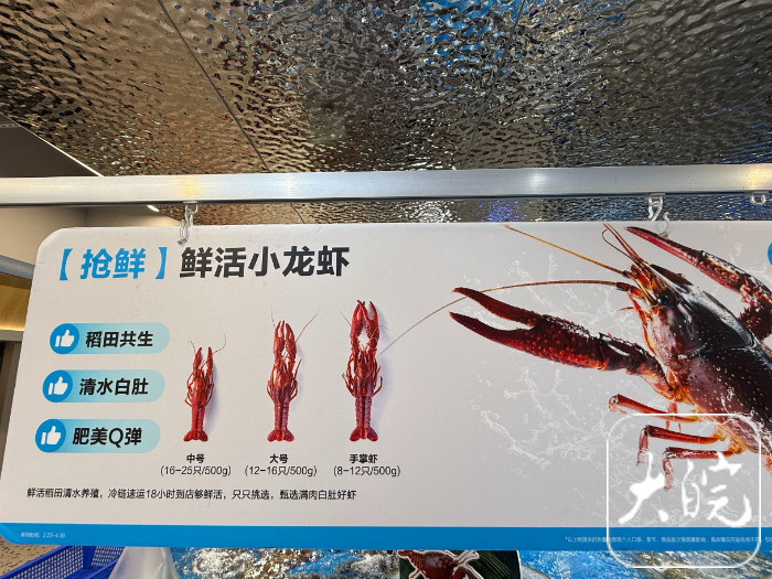 春寒料峭，小龙虾已悄然爬上合肥餐桌！尝鲜价高，大量上市还需等待4月