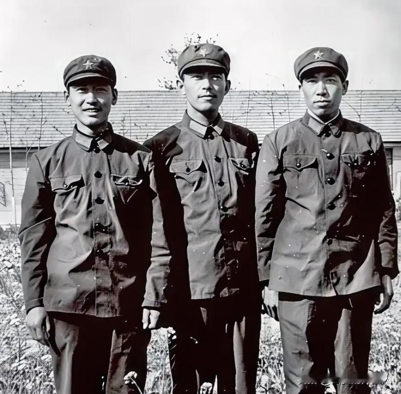 1981年底，提干失败的解放军阎连科办好退伍证后回了老家嵩县。一天，他正在田里播