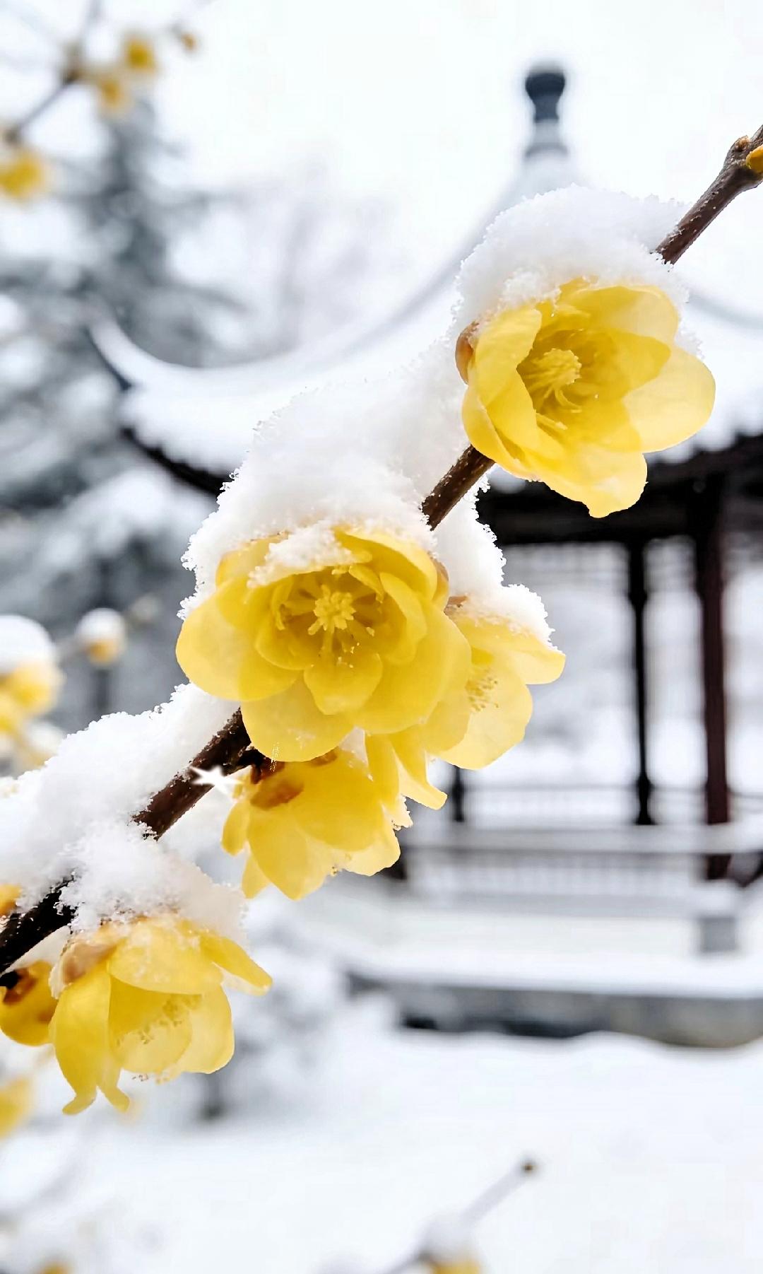 姐姐癌症去世那年42岁，半年后，姐夫给我妈打电话，他要再娶。我妈说他们不管。​