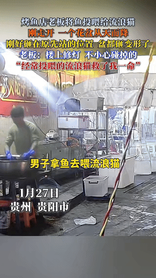 “解释不清了！”贵州贵阳，一老板像往常一样，拿着剩鱼投喂流浪猫，刚转身走开，突然