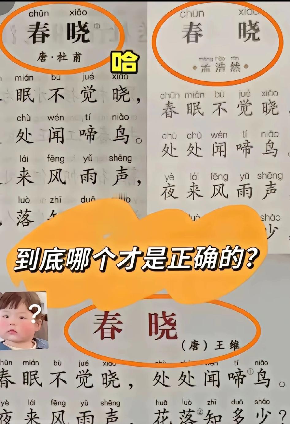 现在小学各种版本的语文课本，语文课外阅读，到底都是谁编写的，又是谁在校对出版的？