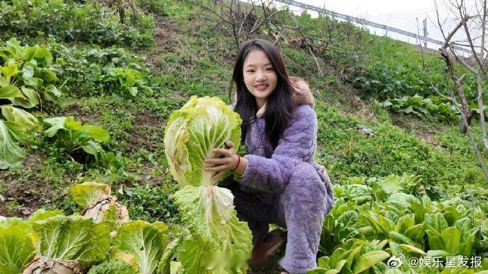 任敏回老家不仅穿省服还摘白菜了湖南妹子回老家有多接地气？任敏直接穿上省服下地摘