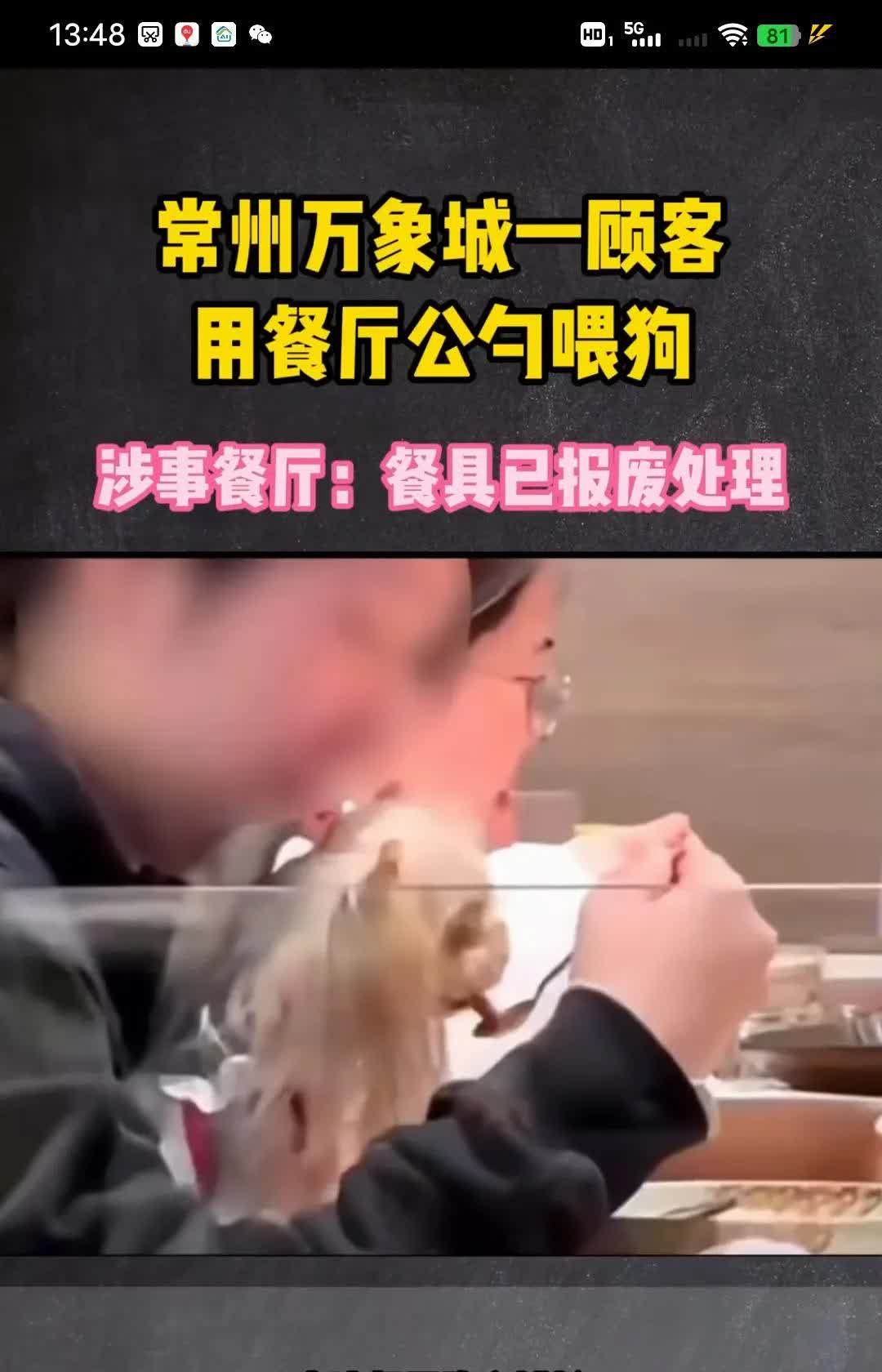 上海两少年撒尿海底捞事件！可认作是个例；那么，狗进饭店上餐桌，可不是个例！