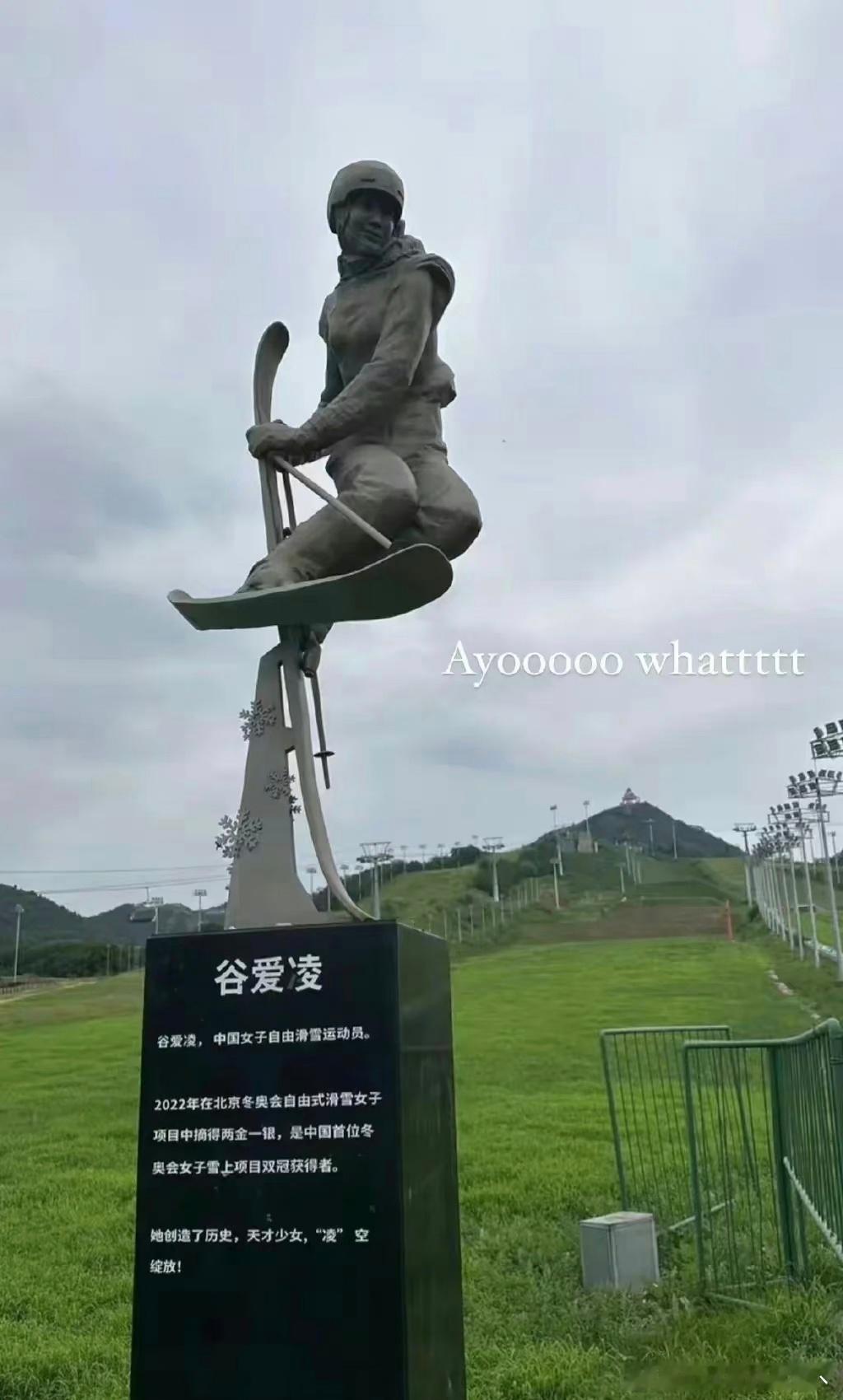 19岁的谷爱凌就有了自己的个人雕像，真是人生赢家，太优秀