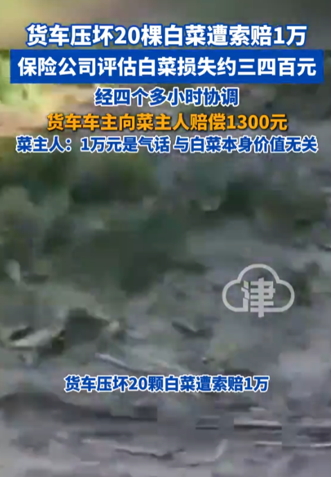 “人心不足蛇吞象！”辽宁辽阳，一货车司机跑160多公里送货，卸完货在一条农业作业